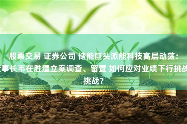 股票交易 证券公司 储能巨头派能科技高层动荡：董事长韦在胜遭立案调查、留置 如何应对业绩下行挑战？