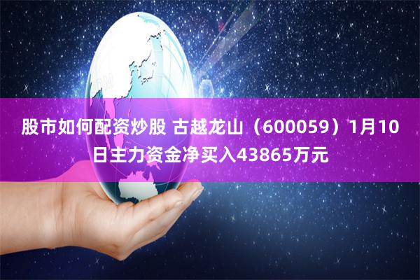 股市如何配资炒股 古越龙山（600059）1月10日主力资金净买入43865万元