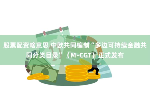 股票配资啥意思 中欧共同编制“多边可持续金融共同分类目录”（M-CGT）正式发布