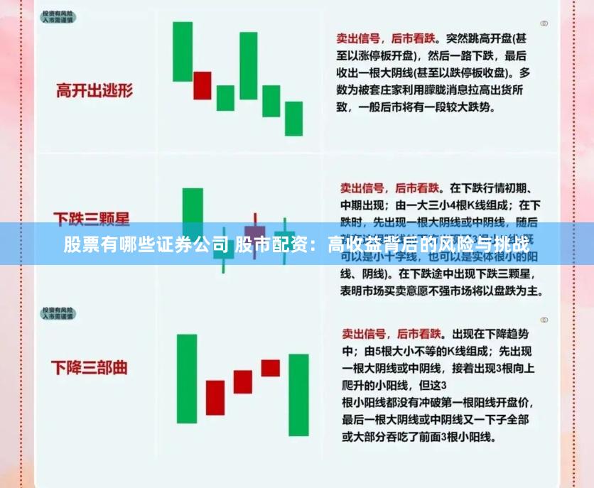 股票有哪些证券公司 股市配资：高收益背后的风险与挑战