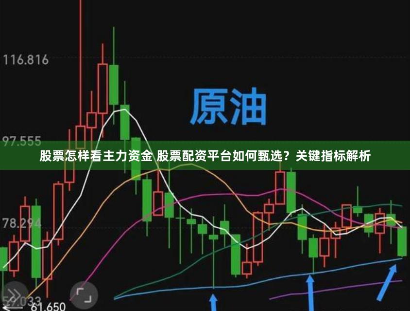 股票怎样看主力资金 股票配资平台如何甄选?关键指标解析