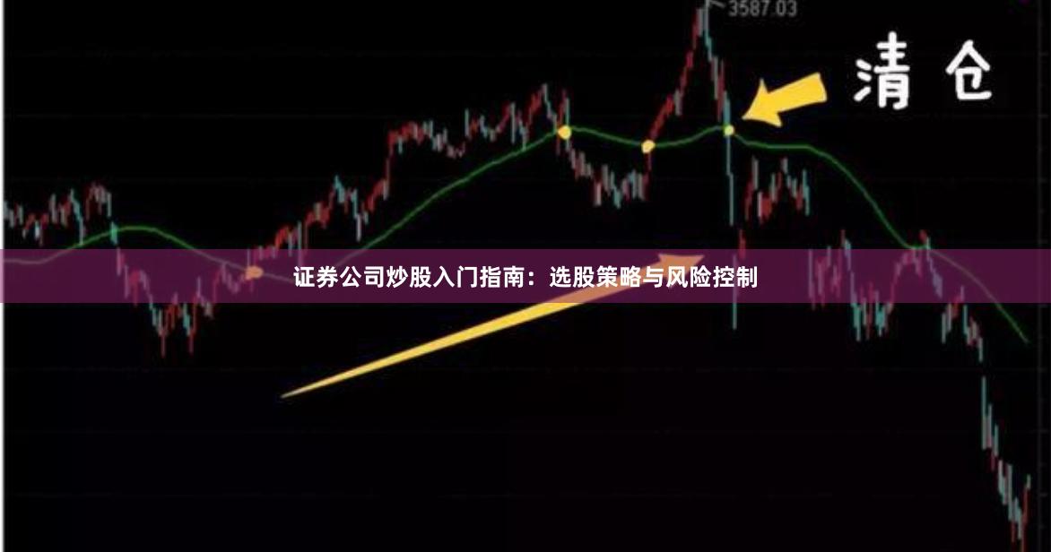 证券公司炒股入门指南：选股策略与风险控制