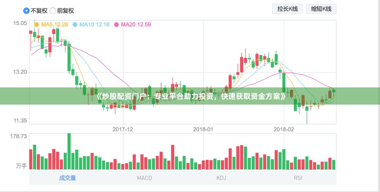 《炒股配资门户：专业平台助力投资，快速获取资金方案》
